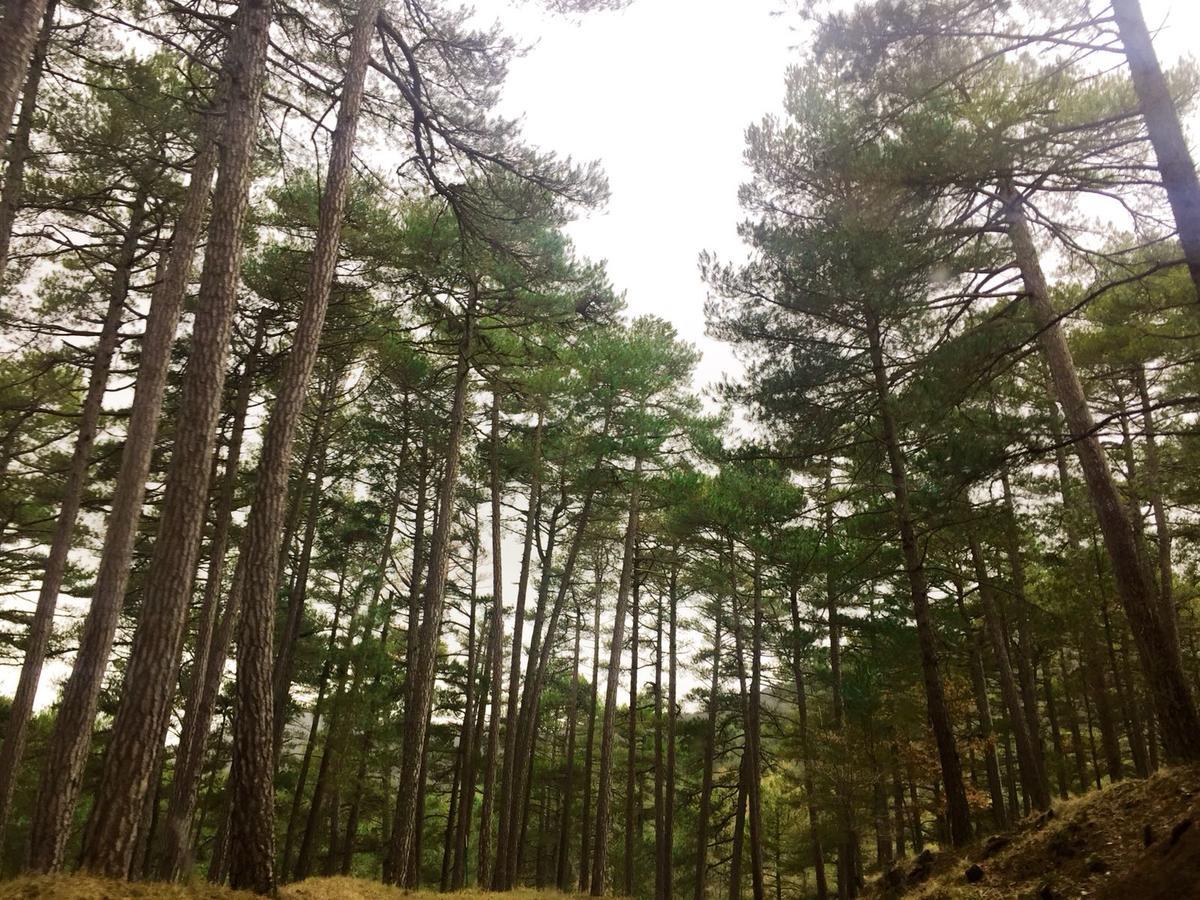 Вілла Vivienda Turistica Rural Entrepinares Сегура-де-ла-Сьєрра Екстер'єр фото